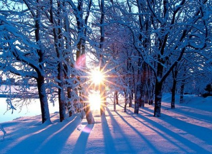 Погода в Харькове на вторник, 2 декабря