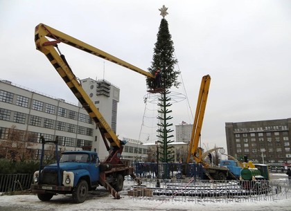 Возле Южного вокзала устанавливают вторую по высоте елку Харькова (ФОТО)