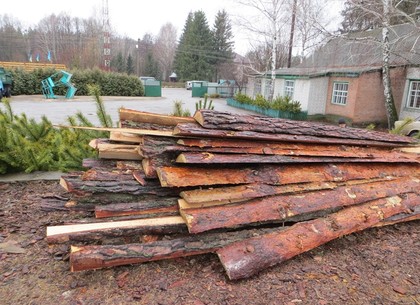 Харьковские елки передали для строительства блиндажей в зоне АТО