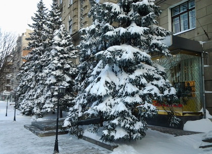 29 декабря на Харьков обрушился просто монструозный снег (ФОТО)