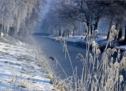 Погода в Харькове на субботу, 17 января