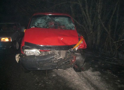 На Харьковщине пьяный водитель отправил машину в кювет. Пять человек в больнице
