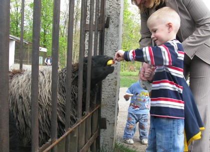 Покорми любимое животное: Харьковский зоопарк ищет спонсоров