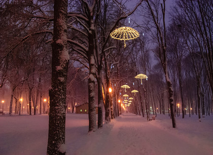 Снег в парке Горького