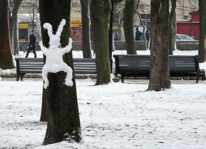 Погода в Харькове 10 февраля: идет похолодание