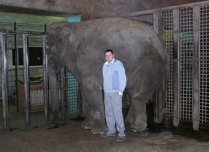 Работнику зоопарка, которому слониха Тенди травмировала руку, нужно 100 тысяч евро на протезирование