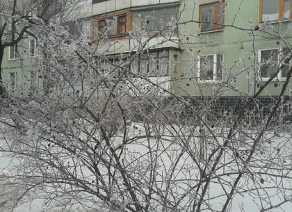Прогноз погоды в Харькове на четверг, 19 февраля