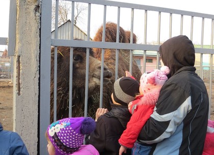 8 марта харьковчанки оккупировали зоопарк