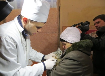 Как в Харькове вакцинируют домашних животных