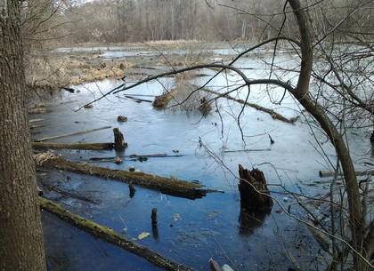На реке Саржинке в Харькове есть озеро, которое называют Топлым (ФОТО)