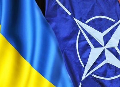 Украина в НАТО: поляки считают, что это создаст нерешаемую международную проблему