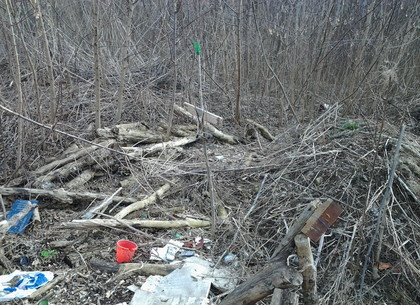 В Лесопарке в Харькове есть ненастоящая могила (ФОТО)