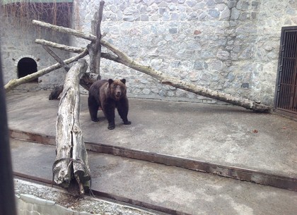 В Харьковском зоопарке родились редкие животные