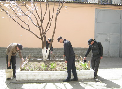 Как в харьковской тюрьме цветы высаживали (ФОТО)