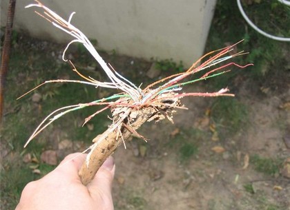 На Салтовке подростки срезали 50 метров телефонного кабеля