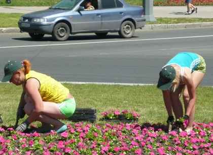 На проспекте Гагарина сажают клумбу-семицветик