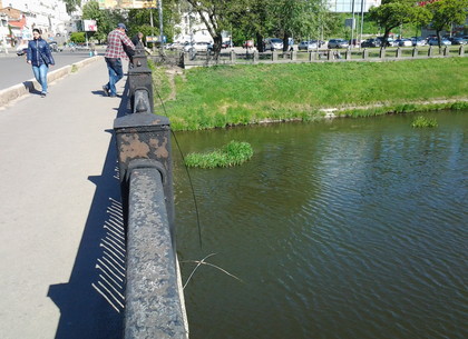 На Бурсацком мосту в Харькове замечен мужчина, который сетями ловил рыбу (ФОТО)