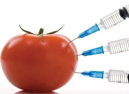 Аграриев, выращивающих ГМО, призовут к ответу