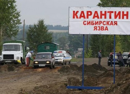 На границе с Харьковщиной обнаружился очаг сибирской язвы (ВИДЕО)