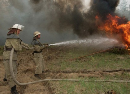 В Харькове –  пожароопасный период. Советы спасателей (ВИДЕО)