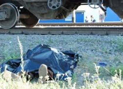 На Основе под поездом погиб неизвестный мужчина