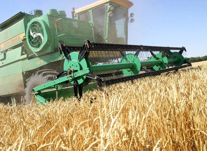 Сельскохозяйственное производство в Украине падает - Госстат