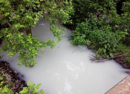 Экологи нашли в реке Роганке под Харьковом аммоний и фосфаты