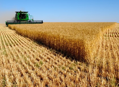 В Украине началась жатва: прогнозируют хороший урожай
