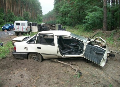 Под Харьковом водитель погиб в лобовом столкновении