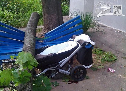 ЧП с падением клена в Харькове: на дерево не жаловались, младенец здоров, у его мамы - перелом позвоночника (ФОТО)
