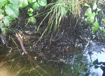 Речку в Васищево загрязняли нефтепродуктами (ФОТО)