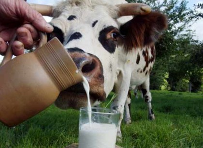 В Украине подорожает молоко из-за иностранцев