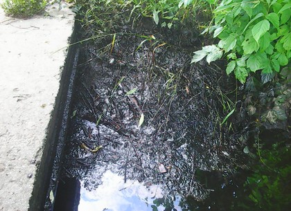 Прокуратура завела дело по факту загрязнения нефтепродуктами реки в Васищево