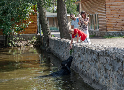 Харьковский зоопарк в июле