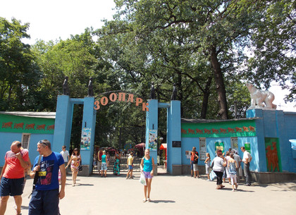 Харьковский зоопарк объявил конкурс на лучшее видеопоздравление