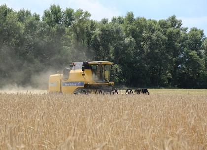 Рекордный урожай озимой пшеницы собрали на Харьковщине в этом году