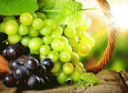 На Харьковщине пройдет фестиваль местного винограда