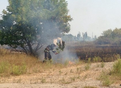 Харьковские спасатели объяснили, почему тушили пожар под Коротичем ветками (ФОТО)