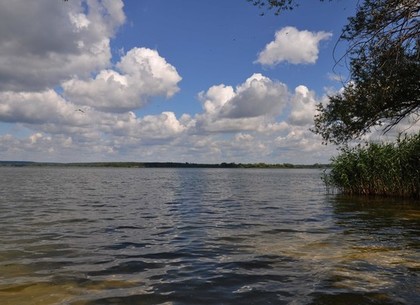 Берег Печенежского водохранилища обнесли забором