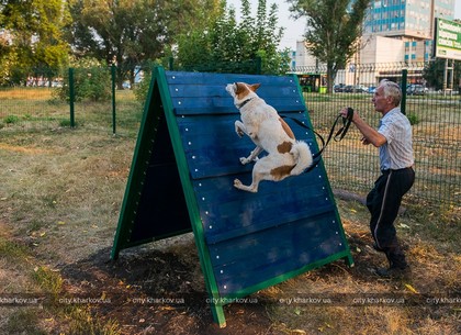 На проспекте Тракторостроителей открыли площадку для выгула собак (ФОТО)