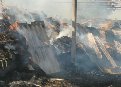 На Харьковщине женщина развела костер из сорняков, но сожгла сарай с углем и дровами