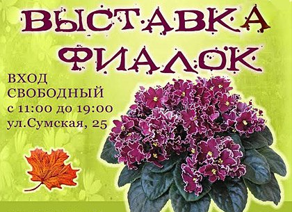 В Харькове пройдет выставка фиалок