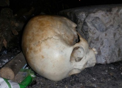 Возле детской площадки на Салтовке нашли череп (ФОТО)