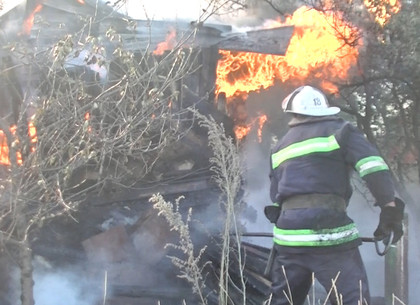Пожар на кукурузном поле на Харьковщине