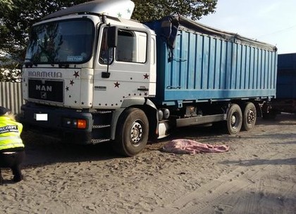 Смертельное ДТП в Змиеве: на пешеходном переходе грузовик сбил девятилетнюю девочку