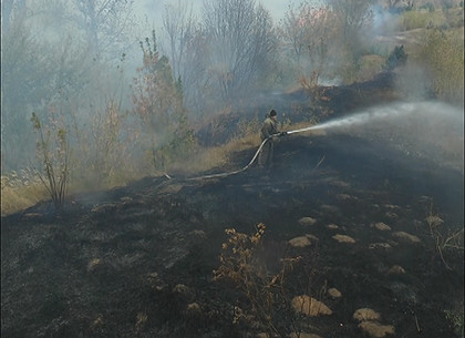 Под Харьковом горел заброшенный кирпичный завод