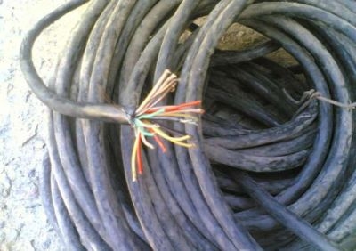Харьковчанка напилила полсотни метров телефонного кабеля