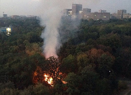 Пожар в саду Шевченко: неизвестные подожгли сухостой (ФОТО)