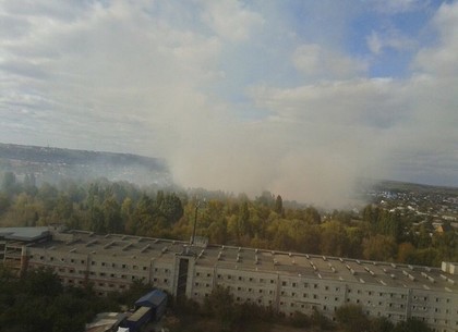 Восточная Салтовка задыхалась в камышовом дыму (ФОТО)