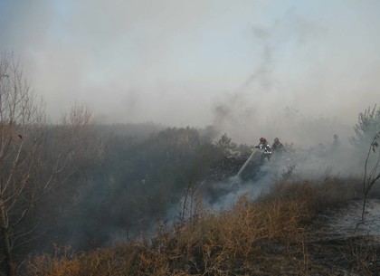 Пал травы на Харьковщине: количество пожаров приближается к сотне в день
